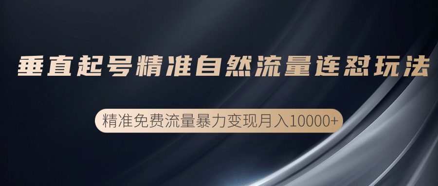 垂直起号精准自然流量连爆玩法，精准引流暴力变现月入10000+-比钱轻创