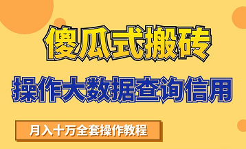 搬砖操作大数据查询信用项目赚钱教程，祝你快速月入6万-比钱轻创