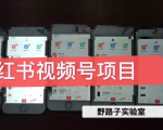 野路子小红书视频号1.0项目，直接上手操作就能赚钱的视频号项目-比钱轻创