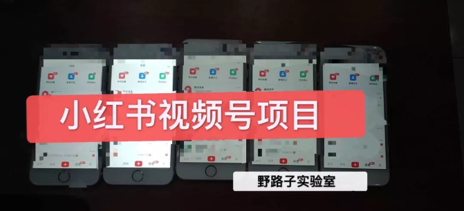野路子小红书视频号1.0项目，直接上手操作就能赚钱的视频号项目-比钱轻创