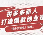 拼多多新人打造爆款创业课：快速引流持续出单，适用于所有新人-比钱轻创