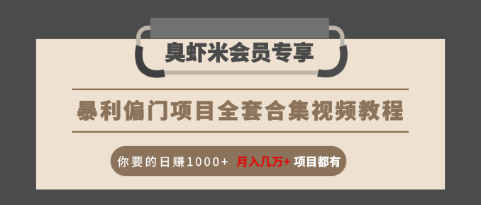 暴利偏门项目全套合集视频教程：你要的日赚1000+月入几万+项目都有-比钱轻创