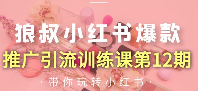 狼叔小红书爆款推广引流训练课第12期，手把手带你玩转小红书-比钱轻创