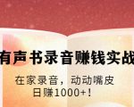 有声书录音赚钱实战：在家录音，动动嘴皮，日赚1000+！-比钱轻创