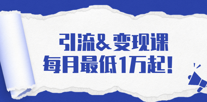 引流&变现课：分享一整套流量方法以及各个渠道收入，每月最低1万起！-比钱轻创