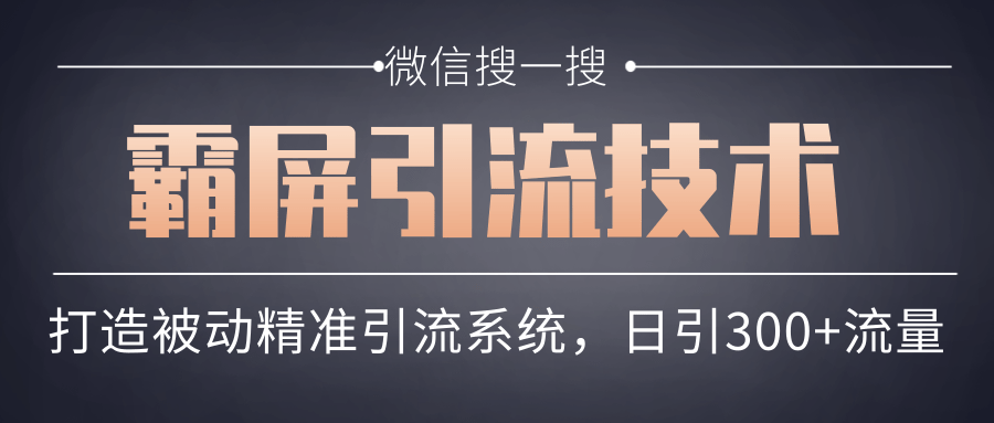 微信搜一搜霸屏引流技术，打造被动精准引流系统，轻松日引300+流量-比钱轻创