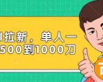 Paypal拉新赚美刀项目，单人一天利润500-1000刀【视频课程】-比钱轻创