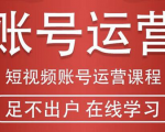 短视频账号运营课程：从话术到短视频运营再到直播带货全流程，新人快速入门-比钱轻创