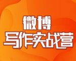 村西边老王·微博超级写作实战营，帮助你粉丝猛涨价值999元-比钱轻创