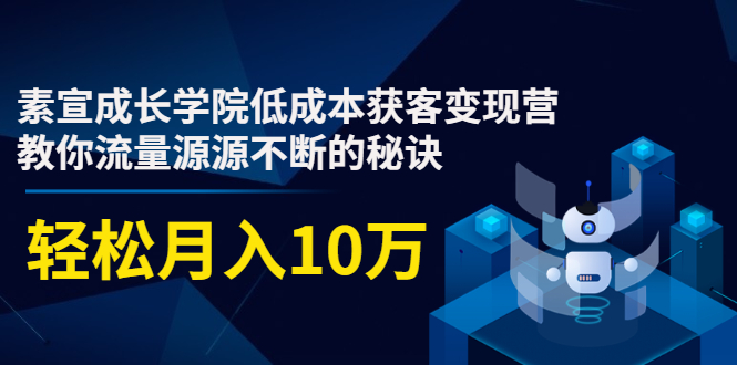 素宣成长学院低成本获客变现营，教你流量源源不断的秘诀，轻松月入10万-比钱轻创