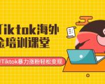 最新Tiktok海外掘金培训课堂：带你玩转Tiktok暴力涨粉轻松变现-比钱轻创
