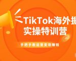TikTok海外掘金实操特训营：手把手教运营变现赚钱-比钱轻创