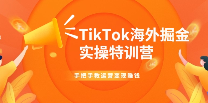 TikTok海外掘金实操特训营：手把手教运营变现赚钱-比钱轻创