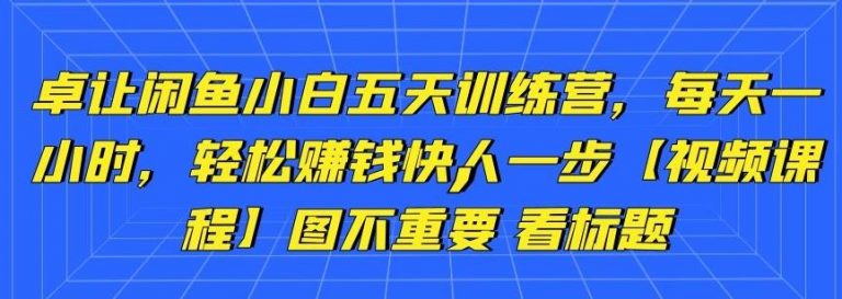 卓让闲鱼小白五天训练营，每天一小时，轻松赚钱快人一步-比钱轻创
