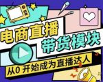 大鹏·电商直播带货课，系统学习直播带货各环节技巧和套路-比钱轻创