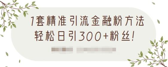 1套精准引流金融粉方法，轻松日引300+粉丝-比钱轻创