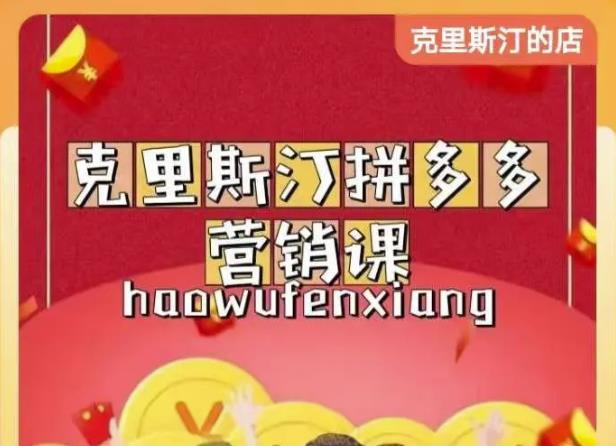 克里斯汀拼多多运营课，适合小白初涉平台，低成本入门-比钱轻创