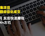 虚拟图集项目：矩阵站群自动化成交，3-5个月实现快速赚钱月入1W+左右-比钱轻创