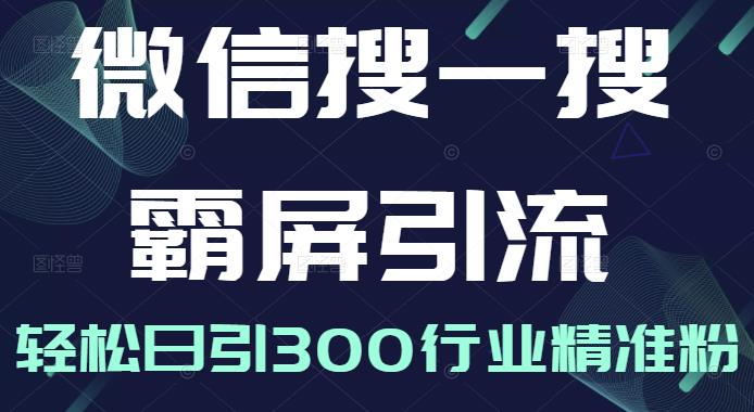 微信搜一搜霸屏引流课，打造被动精准引流系统，轻松日引300行业精准粉-比钱轻创