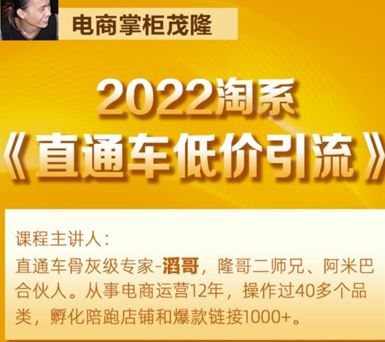 茂隆2022直通车低价引流玩法，教大家如何低投入高回报的直通车玩法-比钱轻创