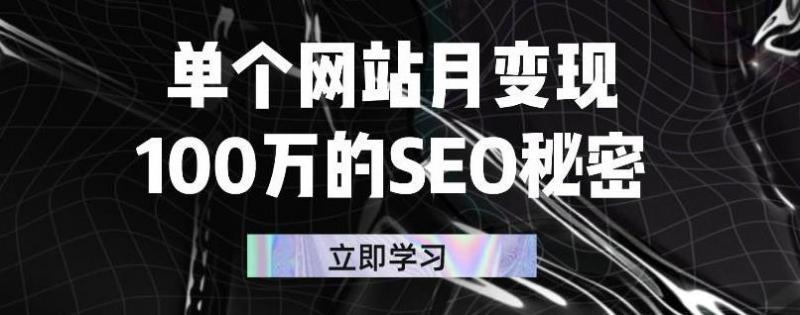 单个网站月变现100万的SEO秘密，百分百做出赚钱站点-比钱轻创