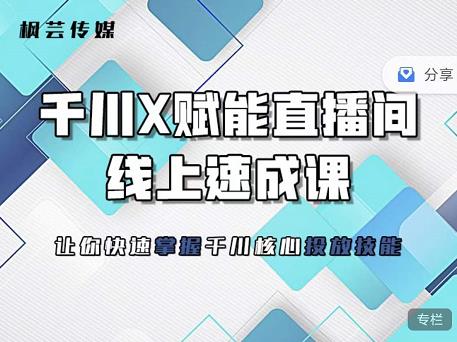 枫芸传媒-线上千川提升课，提升千川认知，提升千川投放效果-比钱轻创