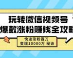 玩转微信视频号爆款涨粉赚钱全攻略，快速涨粉百万变现万元秘诀-比钱轻创
