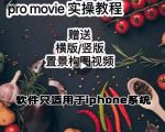 漆十二美食摄影，25​节promovie实操高手课节-比钱轻创