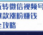 玩转微信视频号爆款涨粉赚钱全攻略，让你快速抓住流量风口，收获红利财富-比钱轻创