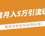 老古董·抖音月入5万引流玩法，看看老司机如何玩转抖音(附赠：抖音另类引流思路)-比钱轻创