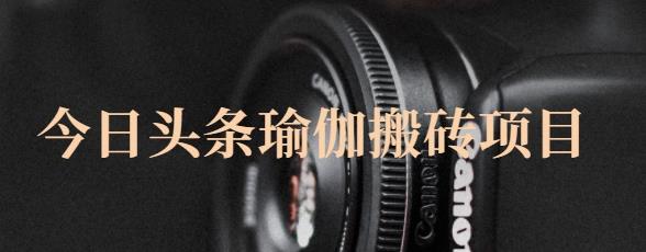 猎人社区·今日头条瑜伽搬砖项目，单号一天几十收入，可以批量操作！-比钱轻创
