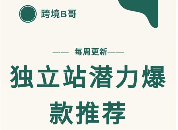 【跨境B哥】独立站潜力爆款选品推荐，测款出单率高达百分之80-比钱轻创