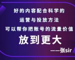 张sir账号流量增长课，告别海王流量，让你的流量更精准-比钱轻创