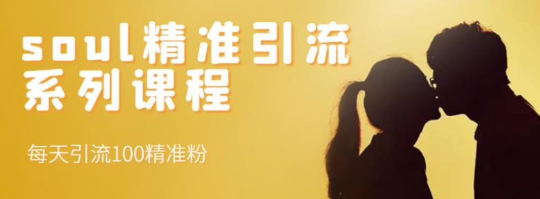 soul精准引流系列课程，每天引流100精准粉-比钱轻创
