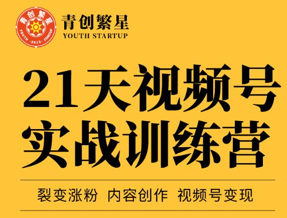 张萌21天视频号实战训练营，裂变涨粉、内容创作、视频号变现 价值298元-比钱轻创