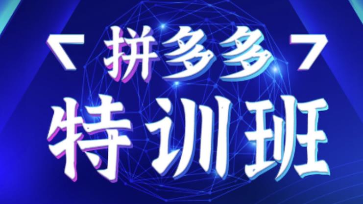 星雪教育·拼多多基础班+进阶班+突破班，用系统的学习模式快速改变现状价值3580元-比钱轻创