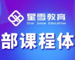星雪教育淘系高级班，更全的运营提升方案，零基础由浅入深，店铺最新玩法-比钱轻创