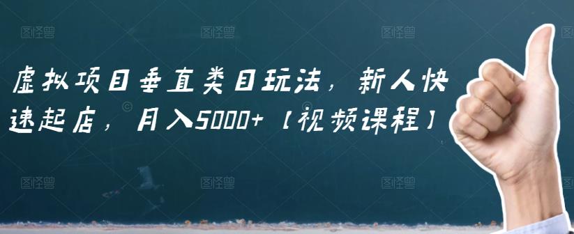 虚拟项目垂直类目玩法，新人快速起店，月入5000+【视频课程】-比钱轻创