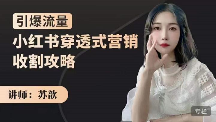 苏歆：小红书穿透式营销收割攻略，引爆流量，助你玩转小红书-比钱轻创