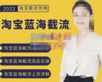 2022淘宝蓝海截流攻略，淘宝蓝海截流选品上货实操讲解-比钱轻创
