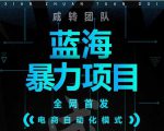 引流哥蓝海暴力躺赚项目：无需发圈无需引流无需售后，每单赚50-500（教程+线报群)-比钱轻创