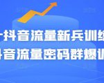 Peter抖音流量新兵训练营-破解抖音流量密码群爆训练营（新兵）-比钱轻创