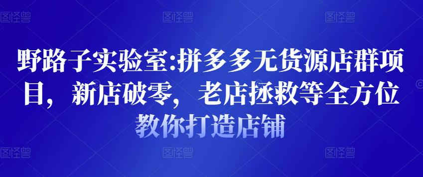 野路子实验室:拼多多无货源店群项目，新店破零，老店拯救等全方位教你打造店铺-比钱轻创