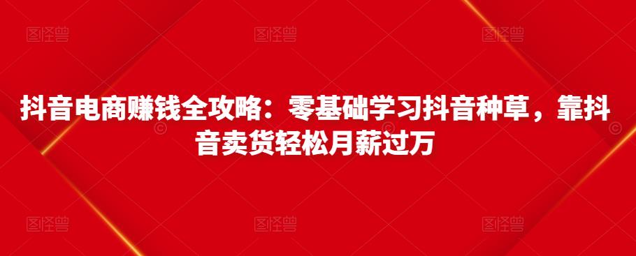 抖音电商赚钱全攻略:零基础学习抖音种草,靠抖音卖货轻松月薪过万-比钱轻创