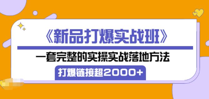 凌童《新品打爆实战班》,一套完整的实操实战落地方法，打爆链接超2000+（28节课)-比钱轻创