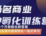 杨名商业IP孵化训练营，从商业到内容到转化一站式学 价值5980元-比钱轻创