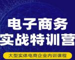 民赛电气内部出品：电子商务实战特训营，全方位带你入门电商，308种方式玩转电商-比钱轻创