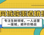 同城跨渠道销售，专注生鲜领域，一人运营一座城，避开价格战-比钱轻创
