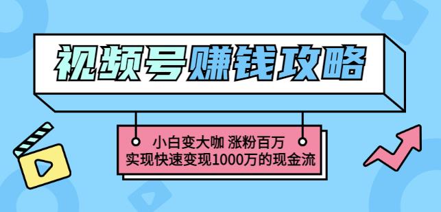 玩转微信视频号赚钱：小白变大咖涨粉百万实现快速变现1000万的现金流-比钱轻创