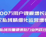 8000万用户规模增长方法论私域精细化运营增长，私域流量硬课助力业务跃迁-比钱轻创